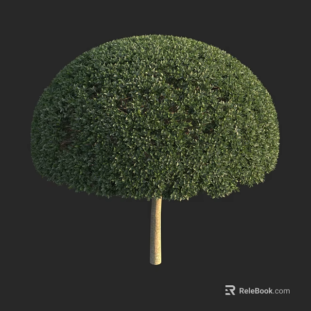 Round Shaped Arbor with Dense Green Foliage and Light Brown Trunk 3d model
