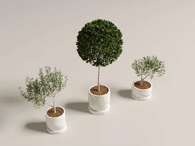 Modern Green Plant Ornaments Bonsai 3d model