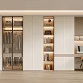 Modern wardrobe 3d model