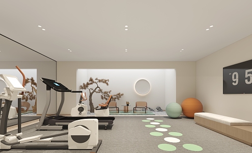 Villa Gym Villa Gym Villa Basement 3d model