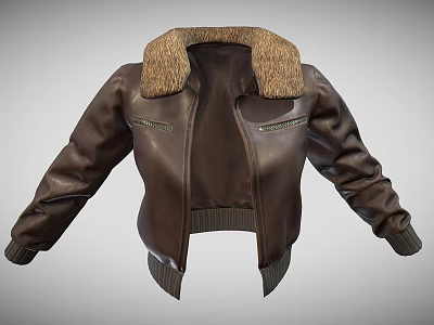 Brown Leather Jacket With Fur Collar Zipper Pockets Knitted Cuffs And Hem 3d model Brown Leather Jacket With Fur Collar Zipper Pockets Knitted Cuffs And Hem 3d model