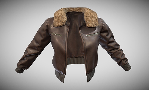 Jacket Leather Jacket Leather Jacket Coat Clothes Military Coat 3d model