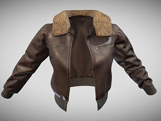 Jacket Leather Jacket Leather Jacket Coat Clothes Military Coat 3d model