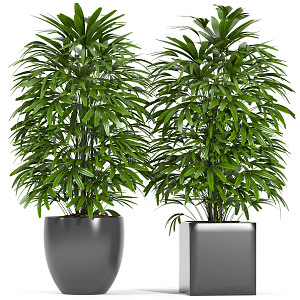 potted plant 3d model