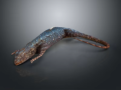 Blue and Brown Scaly Lizard on Black Background with Reflective Surface 3d model