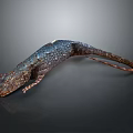Blue and Brown Scaly Lizard on Black Background with Reflective Surface