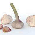 Fresh Garlic Whole Bulbs and Peeled Cloves on White Background