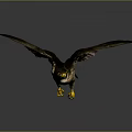 Realistic Flying Falcon With Spread Wings Soaring In Gray Background 3d model