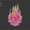 Fresh Red Dragon Fruit With Yellow Spikes On Black Background Surface