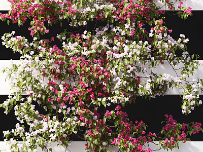 Modern Plant Vine Modern Plant Flower Green Plant Vine Bougainvillea Leaves Flower Ivy 3d model