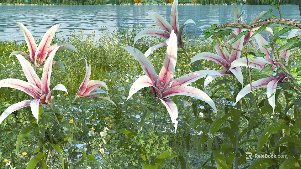 Pink And White Lilies Growing By Calm Water With Green Grass And Wildflowers 3d model 