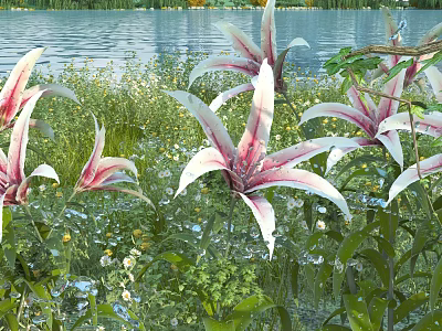 Pink And White Lilies Growing By Calm Water With Green Grass And Wildflowers 3d model