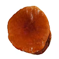Fresh Organic Orange Red Round Edible Mushroom With Natural Healthy Texture