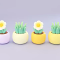 Cute Potted Succulents With White Flowers In Colorful Purple Cream Yellow Planters