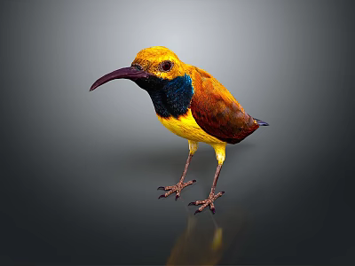 bird game animal cartoon animal realistic animal 3d model