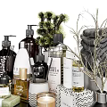 Elegant Modern Daily Cleaning Essentials With Bottles Towels Candles Tray And Potted Plants