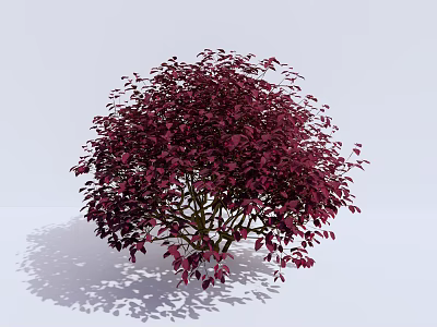 Modern Shrub Shrub Plant Safflower Following Wood Ball 3d model