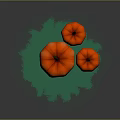 Three Orange Pumpkins on Green Grassy Surface as Fresh Food Display for Seasonal Use