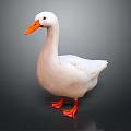 White Duck With Orange Beak And Feet Standing On Gray Background