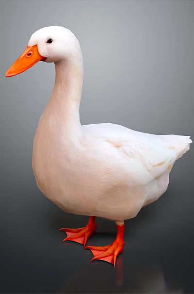 White Duck With Orange Beak And Feet Standing On Gray Background 3d model