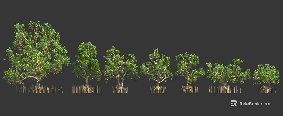 Mangrove Trees with Exposed Root System in Tropical Line Arrangement 3d model 