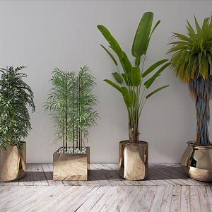 modern potted plant green plant potted plant 3d model