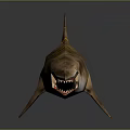 Brown Shark with Yellow Stripes Open Mouth Showing Sharp Teeth on Gray Background 3d model