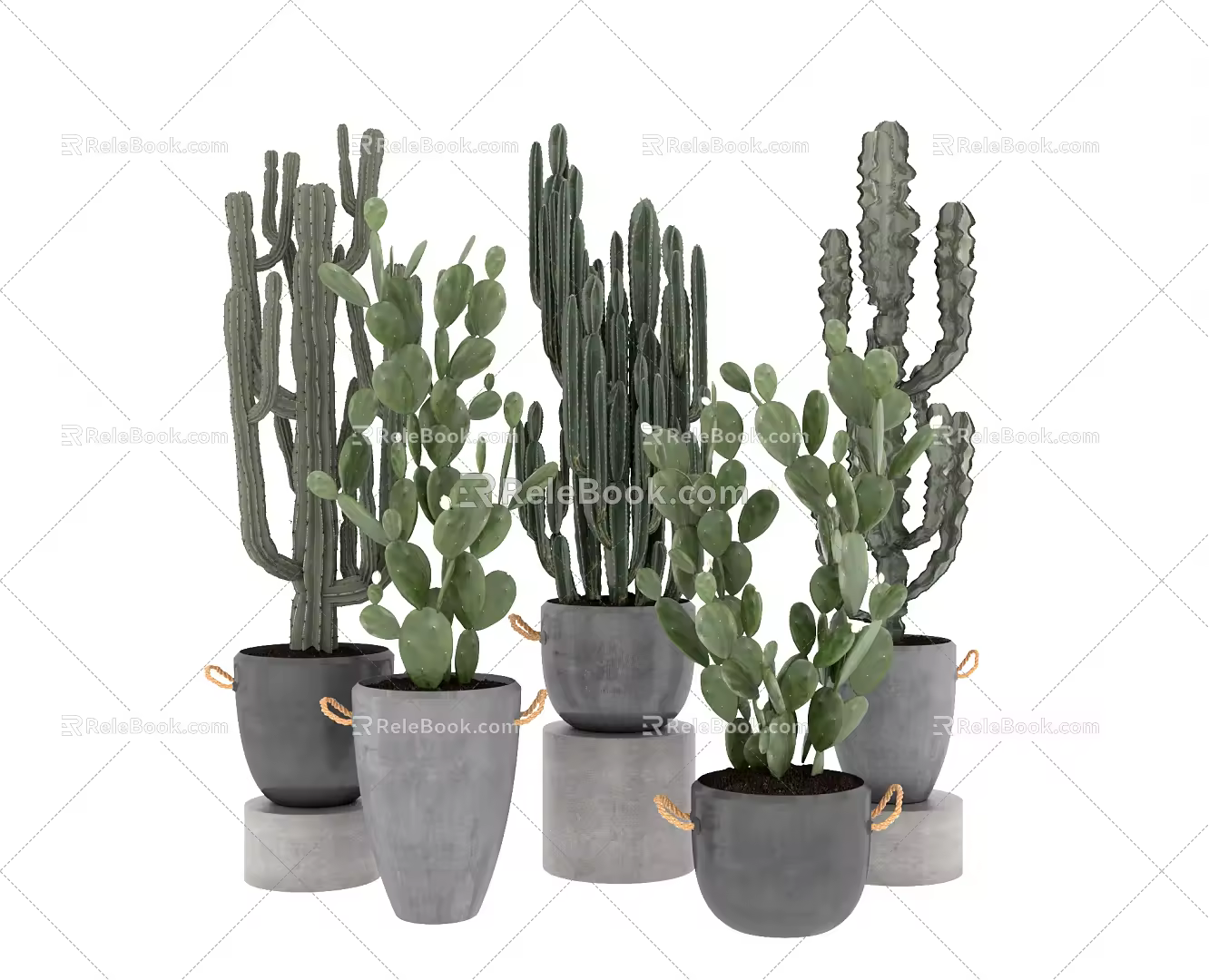 Nordic Cactus 3d model