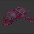 Modern sea turtle Prehistoric sea turtle Snapping turtle Big sea turtle 3d model