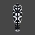 Detailed 3D Game Movie Character Zebra With Black White Stripes Standing Pose