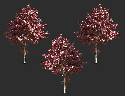 The Modern Tree 3d model The Modern Tree 3d model
