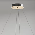 Sleek Modern Circular Chandelier With Double Ring Design And Brushed Metal Frame