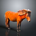 Orange Horse with Fluffy Mane Standing on Dark Background with Reflective Ground