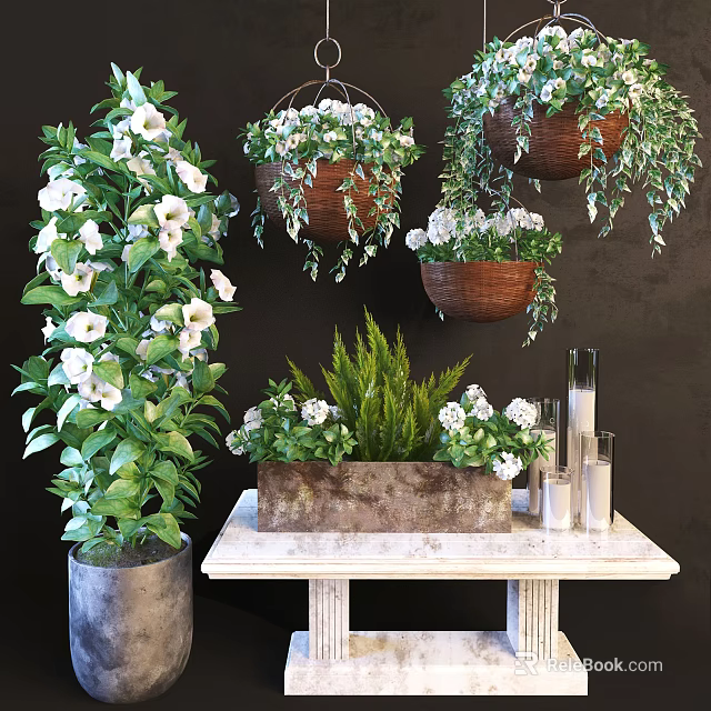 Beautiful Potted Plants with White Flowers Hanging Baskets Green Foliage on Wooden Table 3d model 