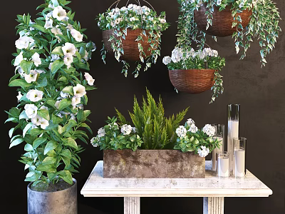 Beautiful Potted Plants with White Flowers Hanging Baskets Green Foliage on Wooden Table 3d model