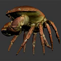 Red Cooked Crab With Shiny Shell And Large Claws On Dark Background With Reflection