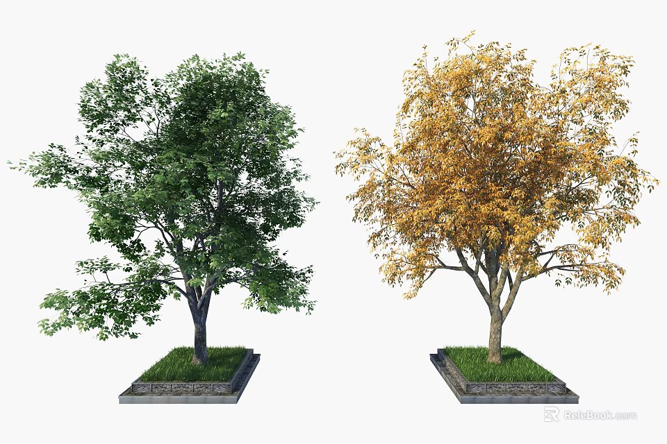 Two Deciduous Trees with Green and Yellow Foliage Planted in Square Bases with Grass 3d model 