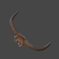 Animal Skull With Large Curved Horns Natural Brown Decorative