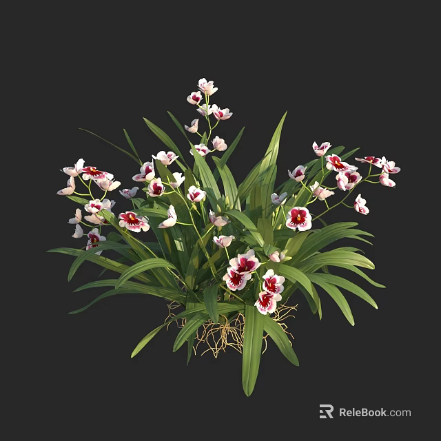 Vibrant White And Pink Flowers With Long Green Leaves And Visible Roots 3d model 