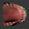 Detailed Game Movie Character Tooth Model With Pink Gums And White Teeth Design
