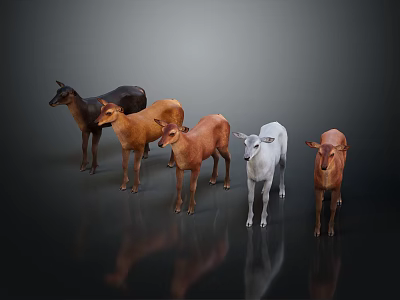 Group of Different Colored Deer Standing on Dark Surface with Reflections 3d model