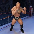 Cartoon Scene Bald Man And Panda In Wrestling Ring With Dragon Design Rock Walls