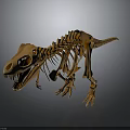 Realistic Dinosaur Skeleton Model Display With Detailed Anatomical Structure And Standing Pose 3d model