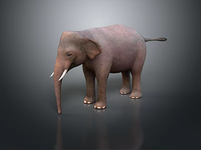 Realistic Gray Elephant with Tusks Standing on Dark Background Showing Smooth Skin Reflection 3d model