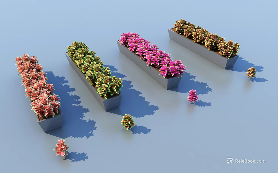 Colorful Bonsai Plants in Long Rectangular Pots with Small Individual Specimens 3d model