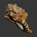 Orange Brown Textured Conch Shell Decorative Ornament Combination for Home Decor