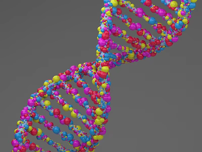 Innovative Medical Devices for DNA Double Helix Study with Colorful Molecular Structure in Genetic Diagnostics 3d model