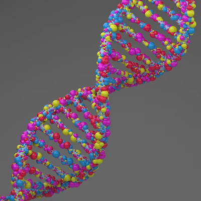 Modern DNA Deoxyribonucleic Acid 3d model