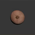 Fresh Pink Onion With Cracked Skin On Dark Background Close Up View