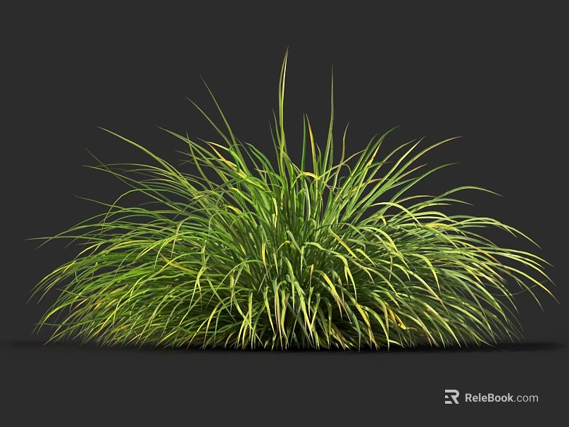 Lush Green and Yellow Grass Clump with Tall Leaves on Dark Background 3d model 